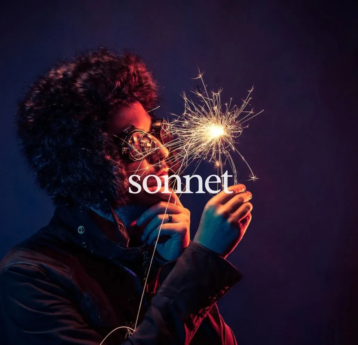 Descriptive text for the image