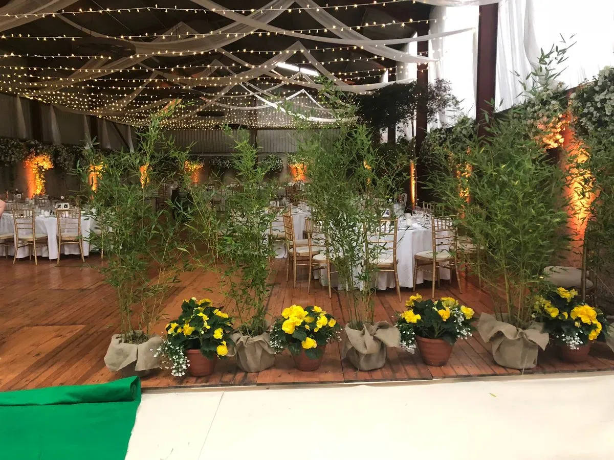 Descriptive text for the image