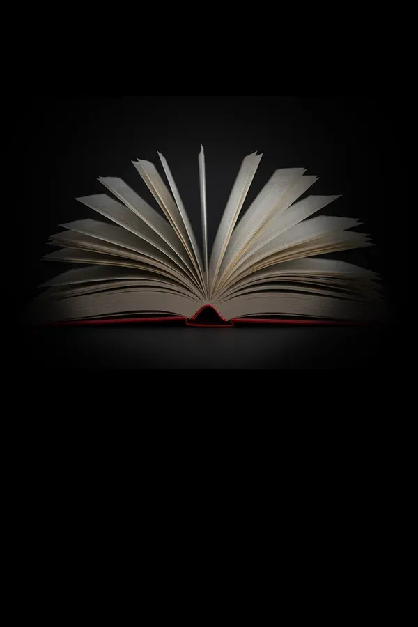 Descriptive text for the image