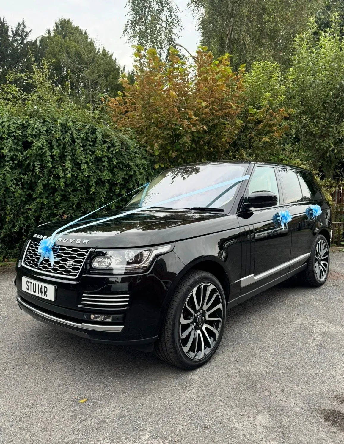 Bridal party transport services image background image