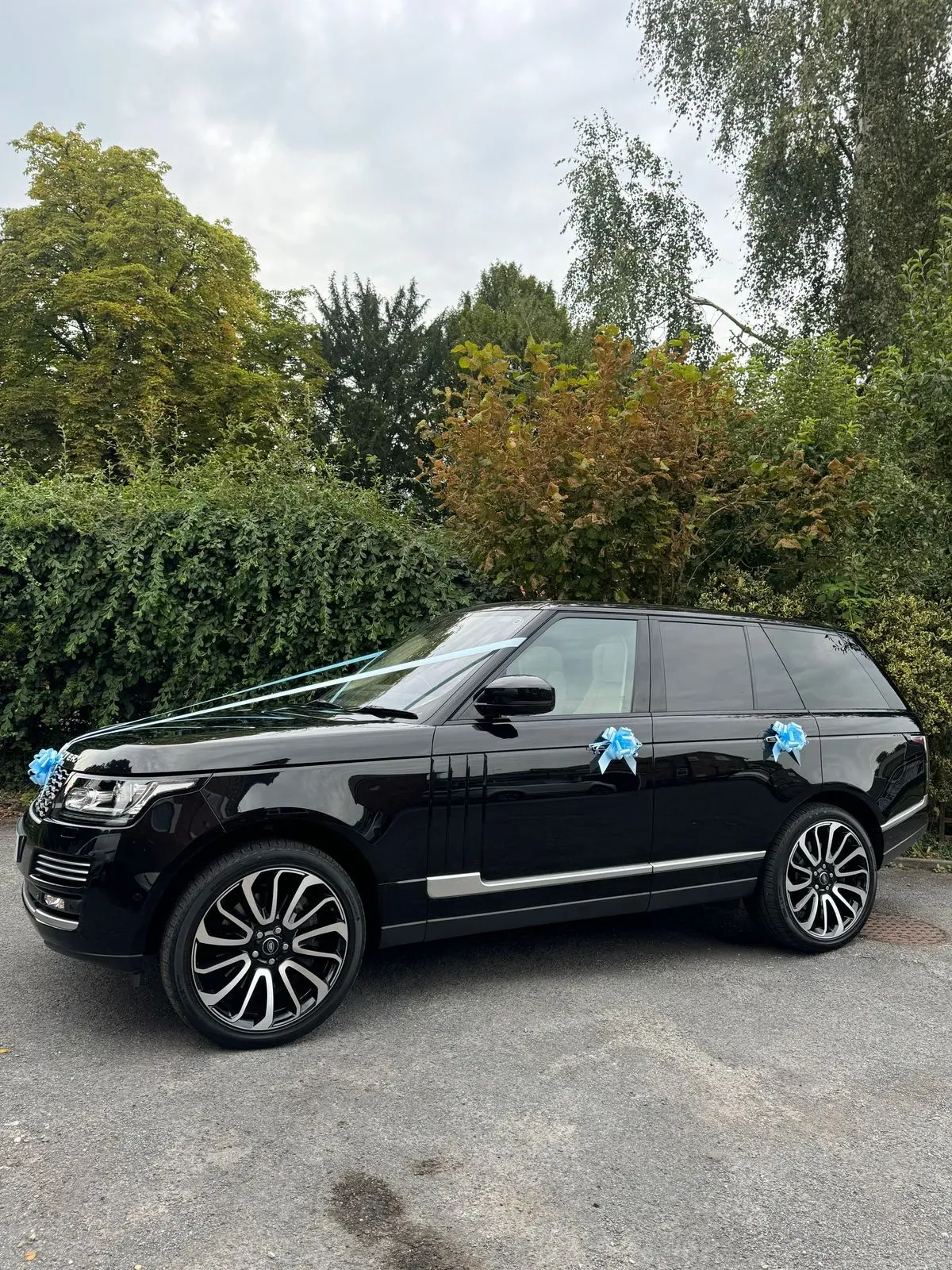 Descriptive text for the image