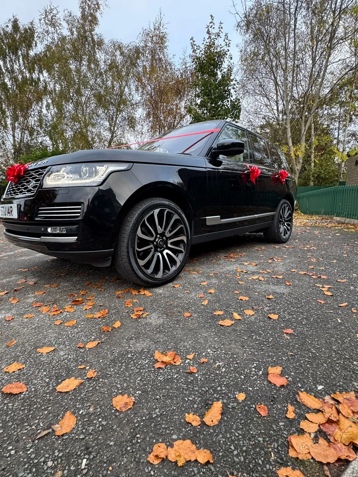 Descriptive text for the image