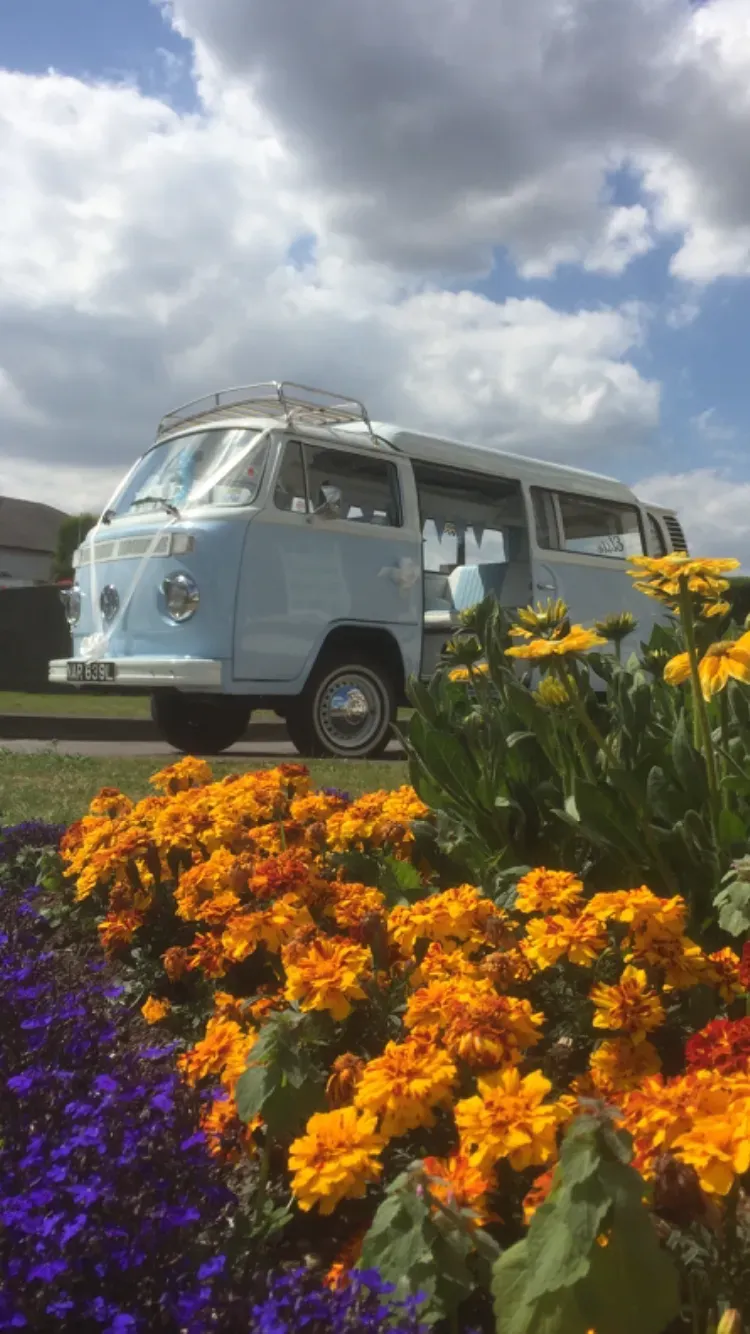 Descriptive text for the image