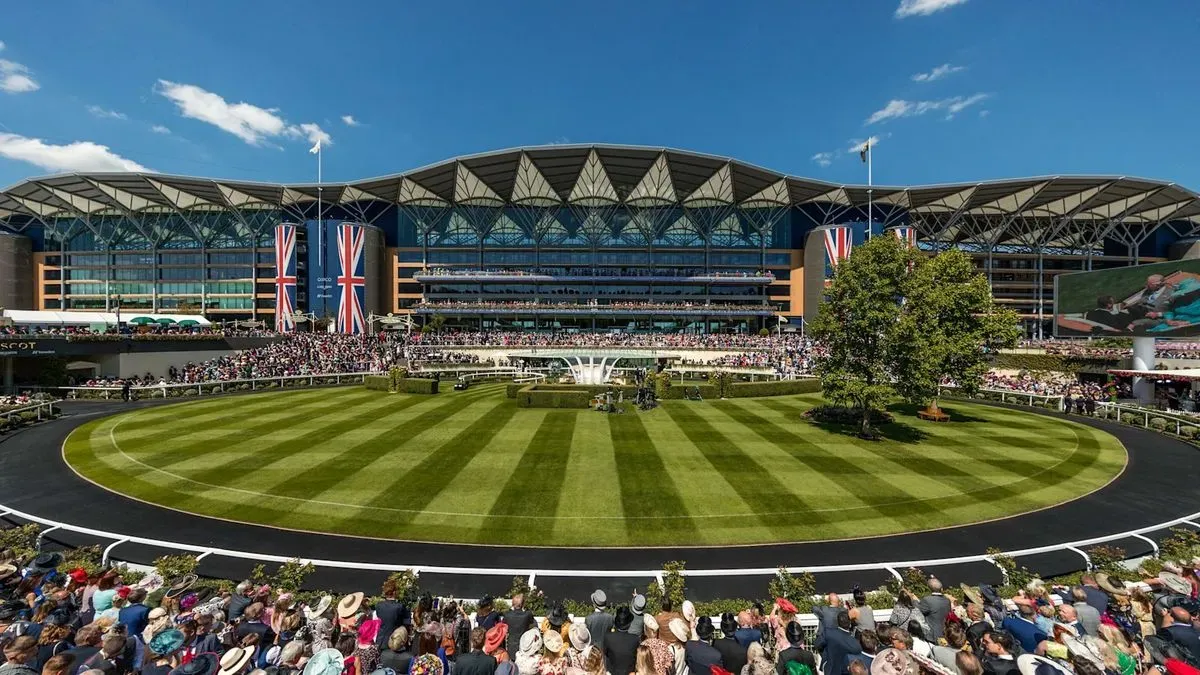 8226468155425-nppsqvs6p9fizjy01up0p-ASCOT-WIDE thumbnail image