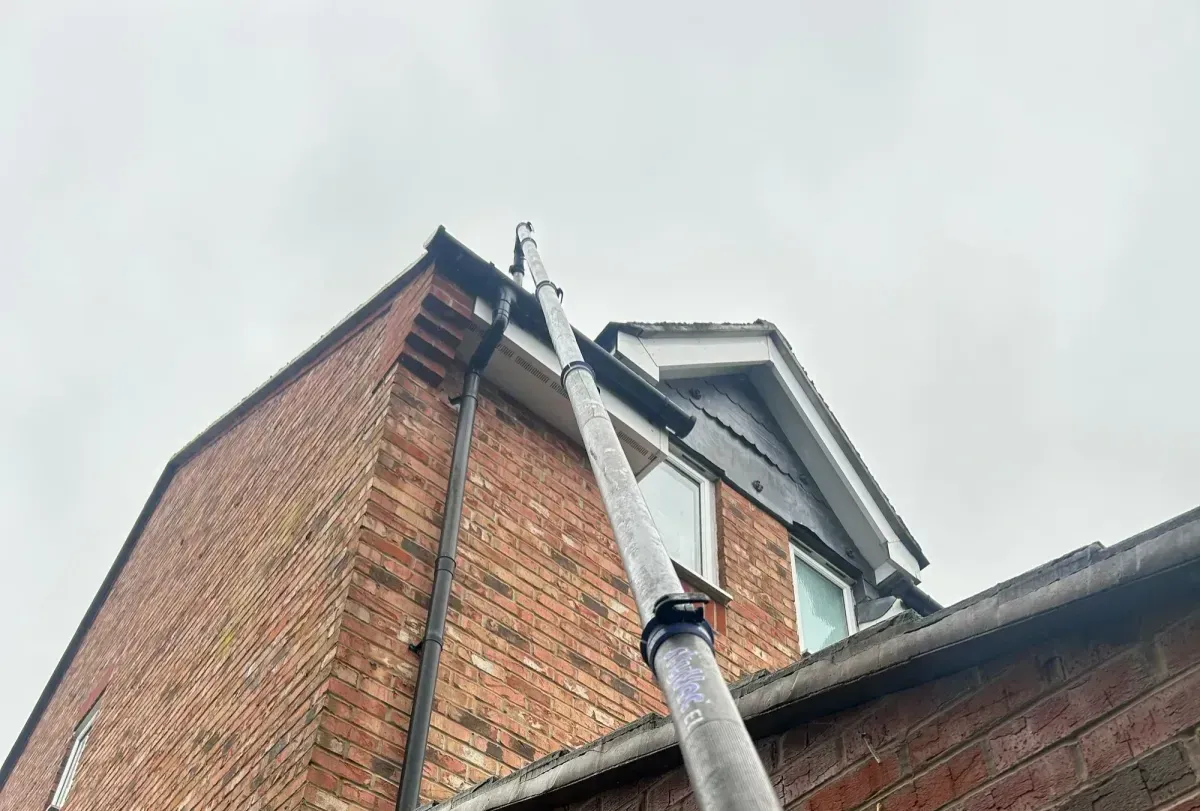 Gutter Cleaning
