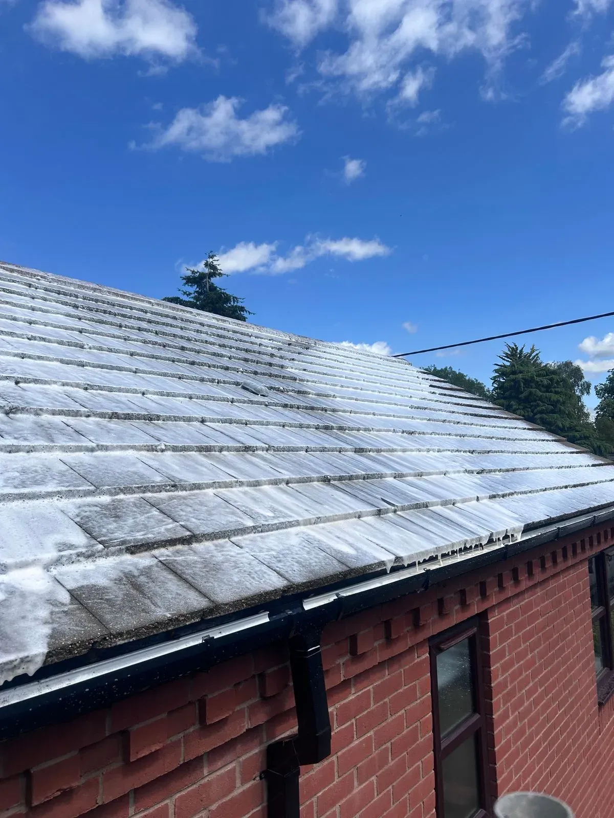 Roof Cleaning