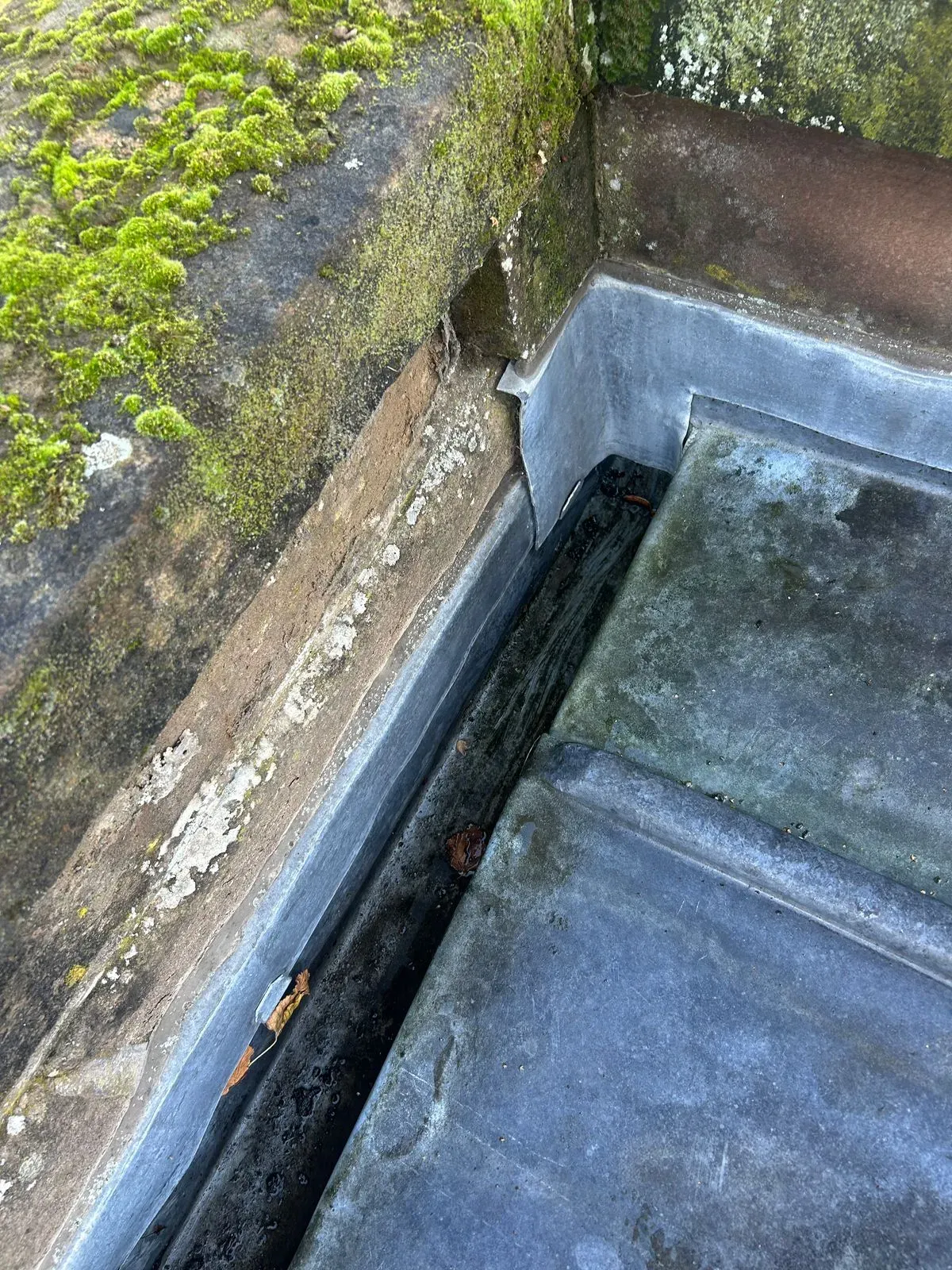 Gallery image 12