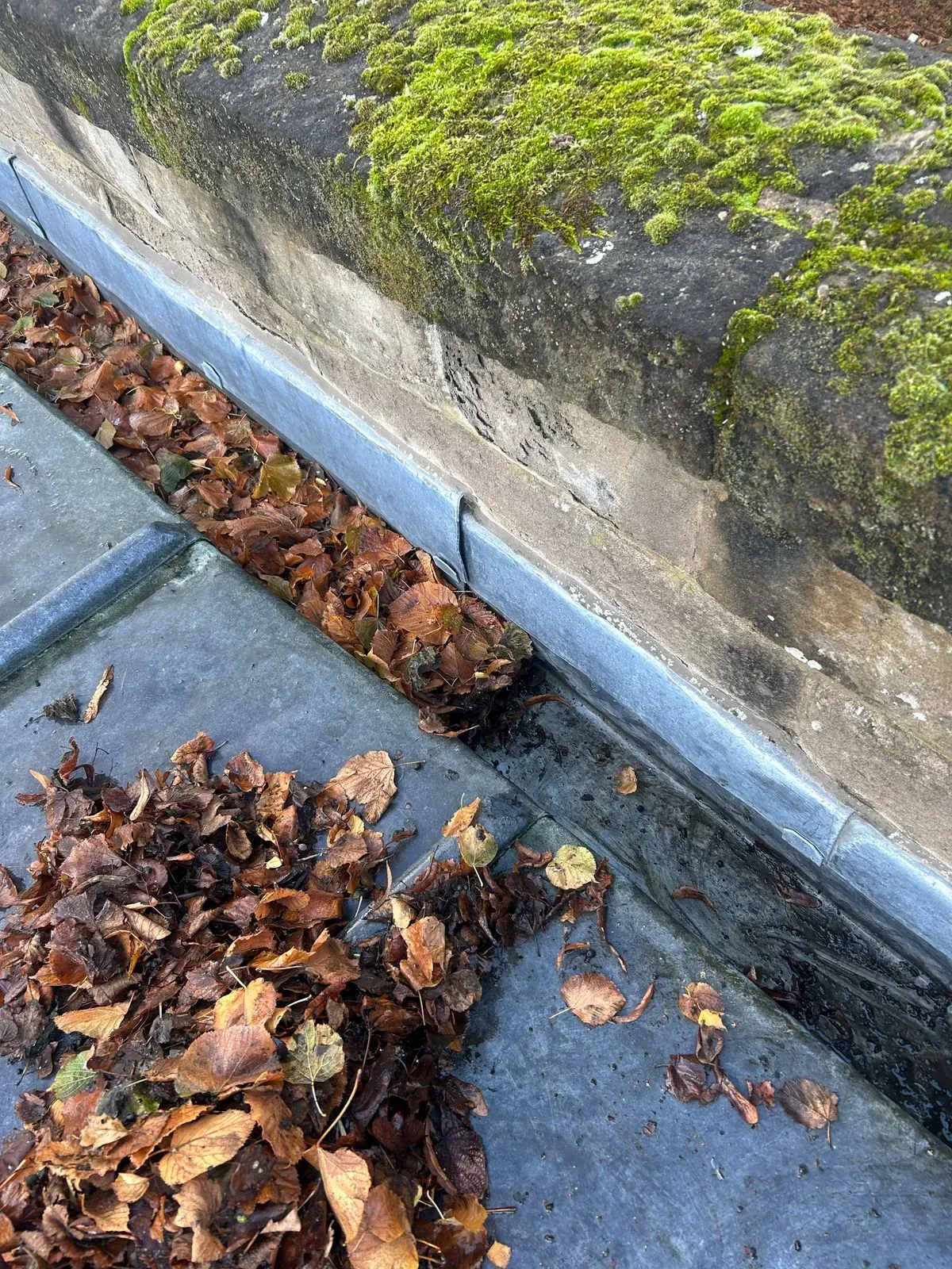 Gallery image 13
