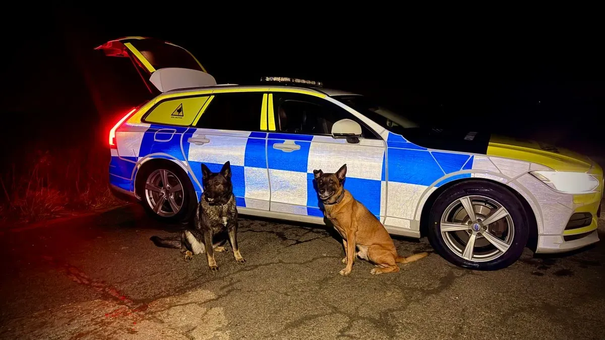 Dog Patrols and Handling