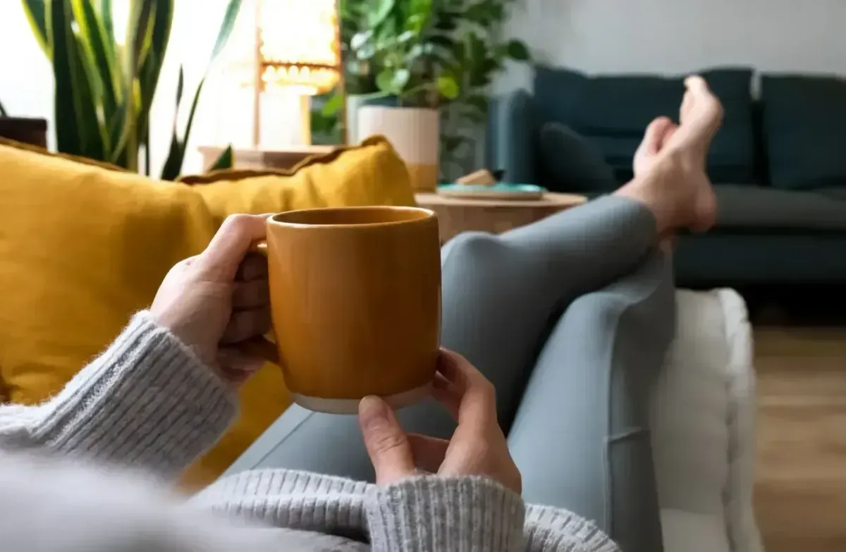 Descriptive text for the image