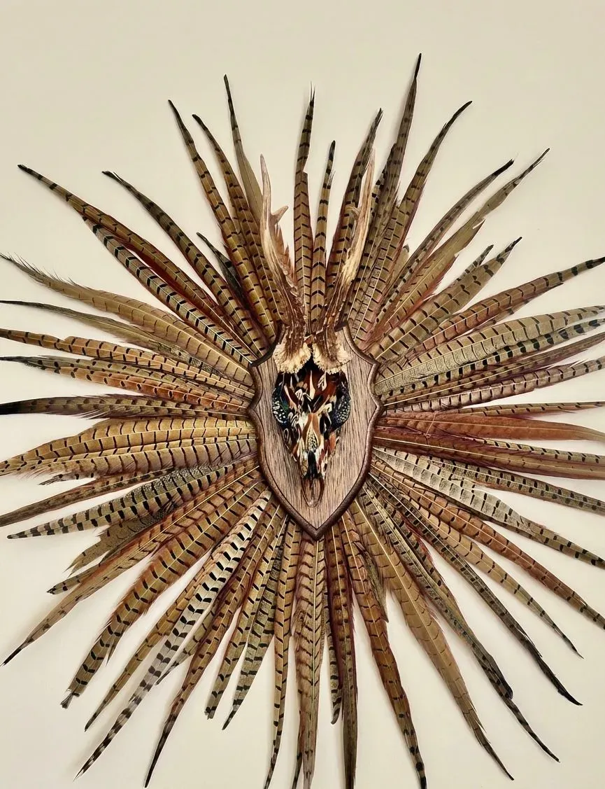 Descriptive text for the image