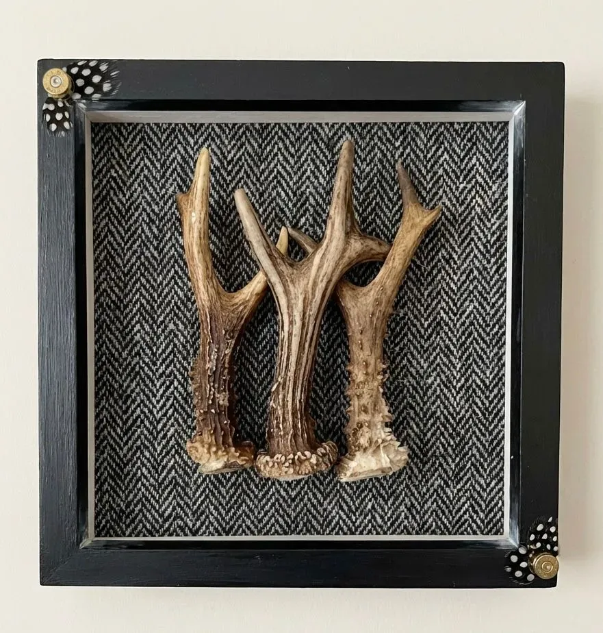 Descriptive text for the image