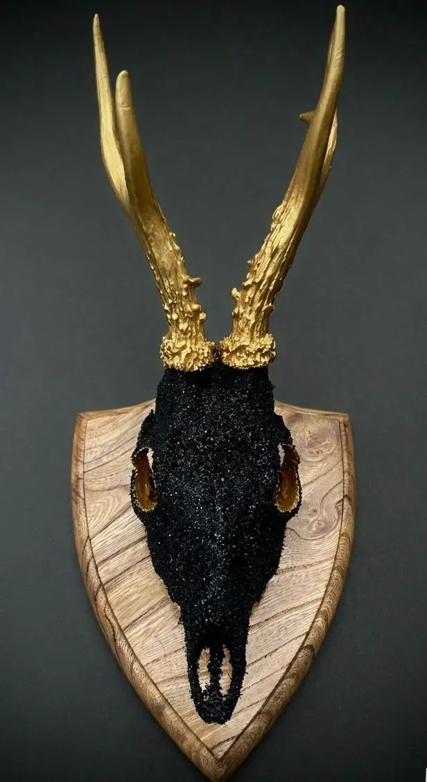 Descriptive text for the image