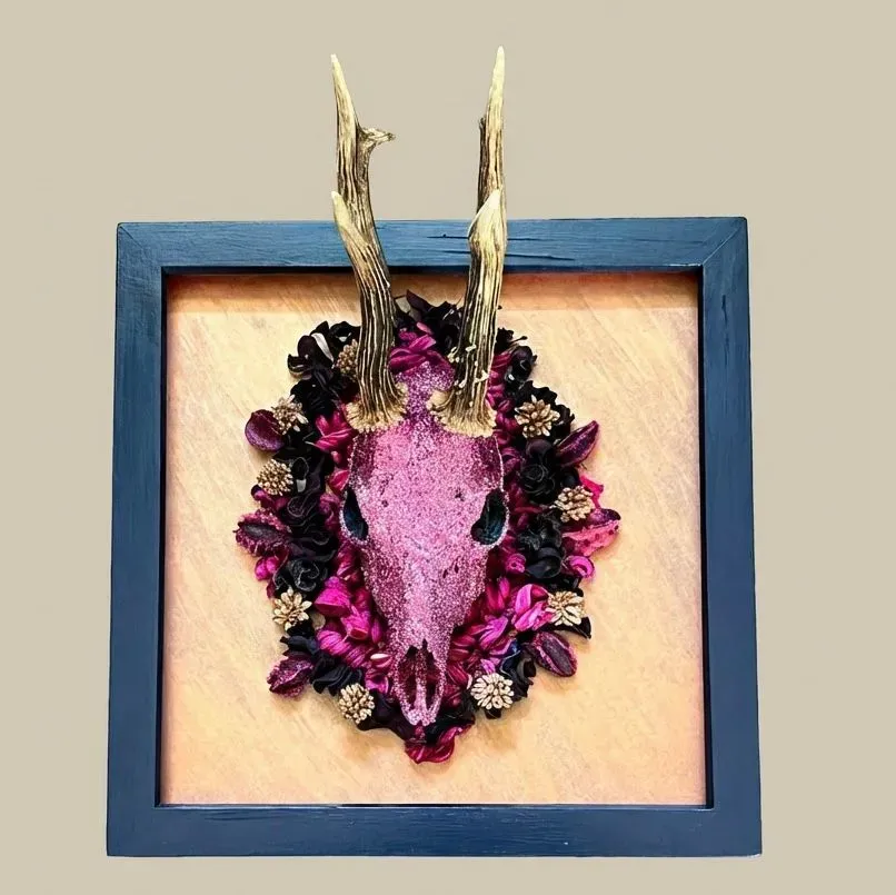 Descriptive text for the image