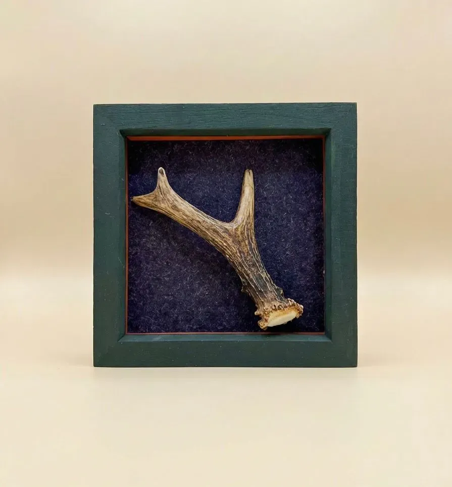 Descriptive text for the image