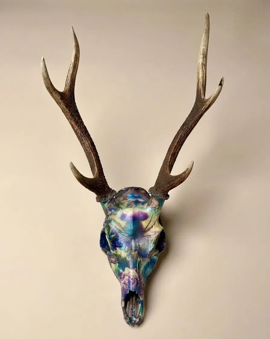 Descriptive text for the image