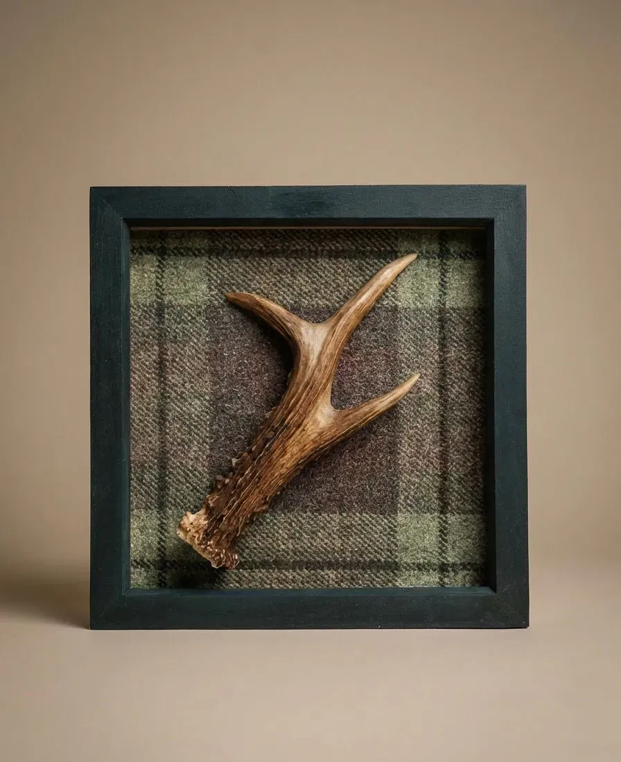 Descriptive text for the image