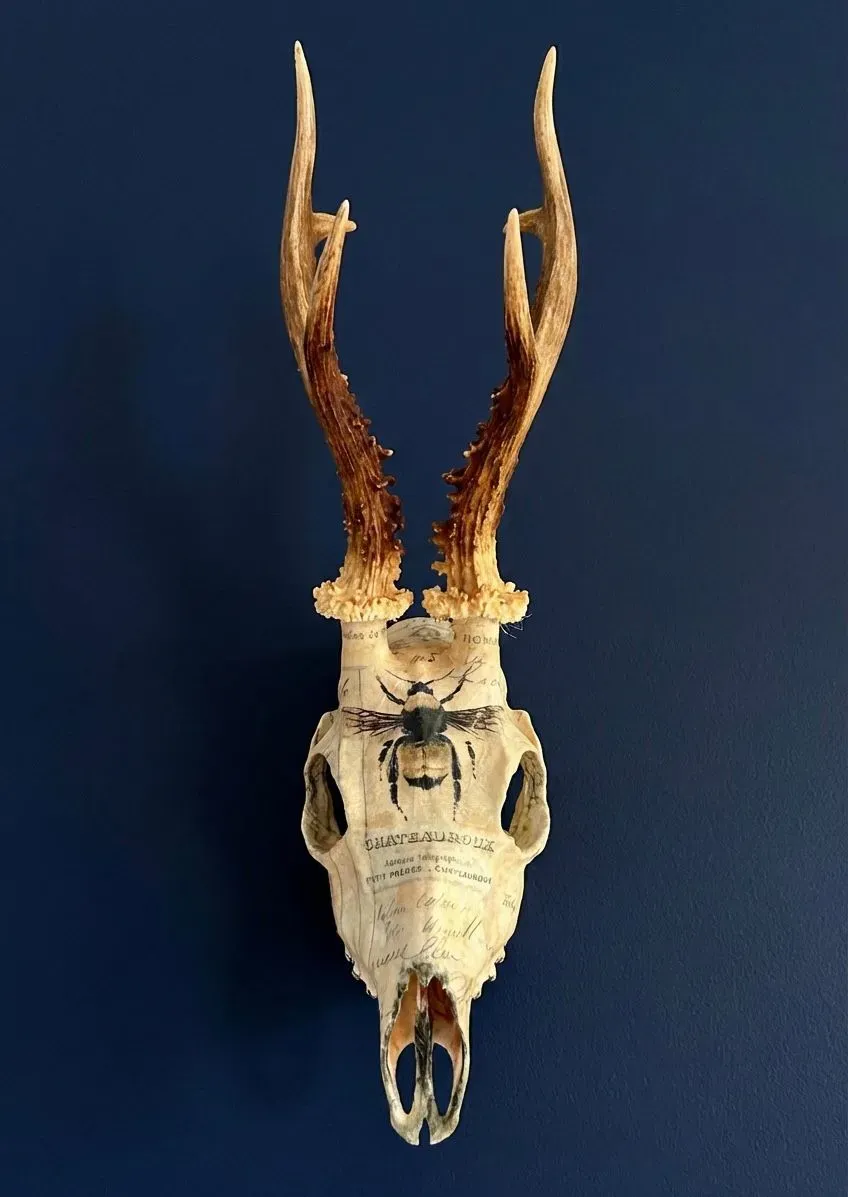 Descriptive text for the image