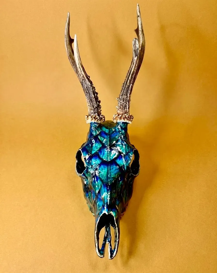 Descriptive text for the image