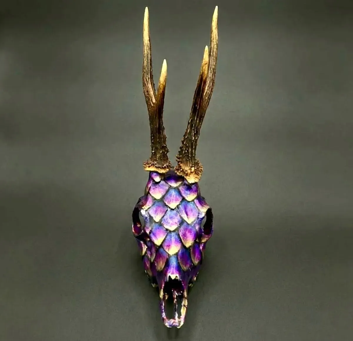 Descriptive text for the image