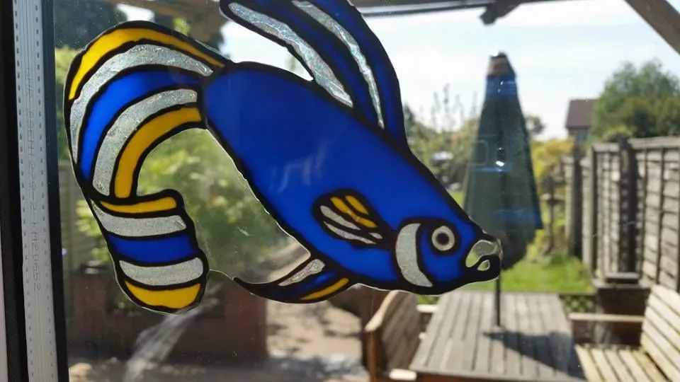 undefined thumbnail image