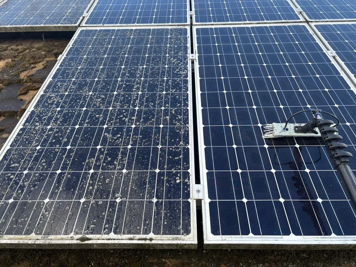 Descriptive text for the image