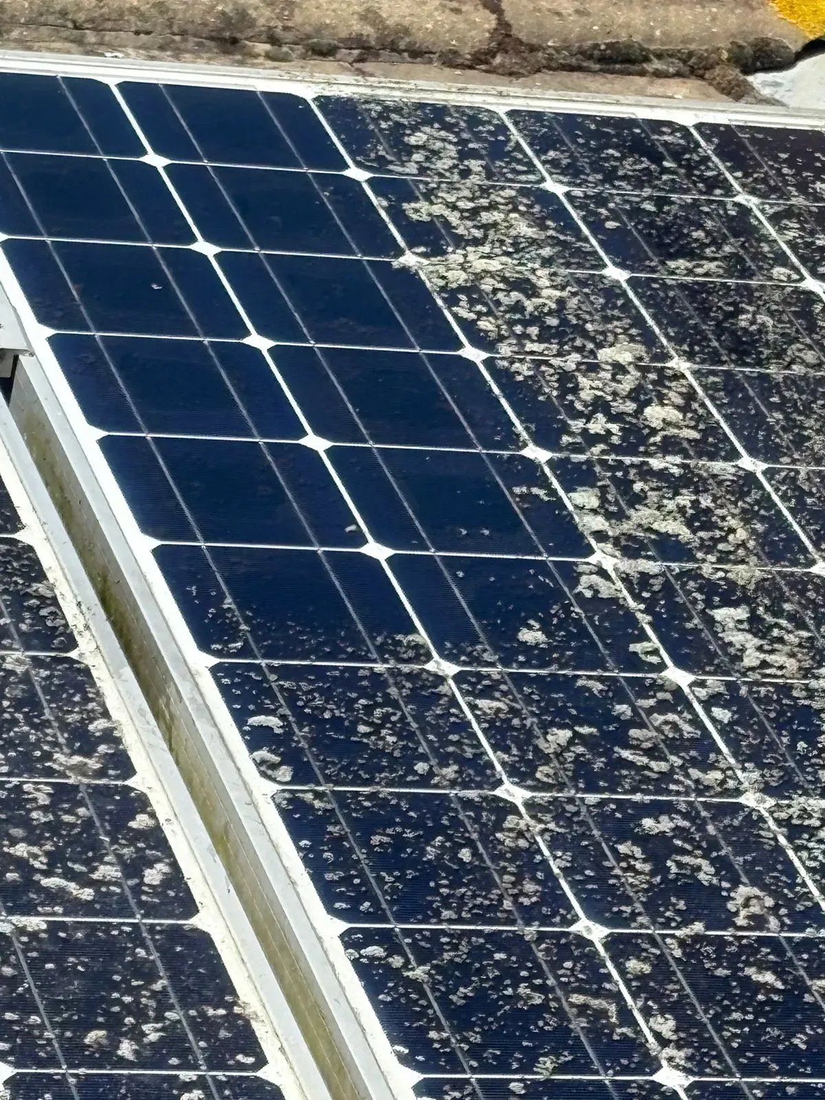 Solar Panel Cleaning image background image