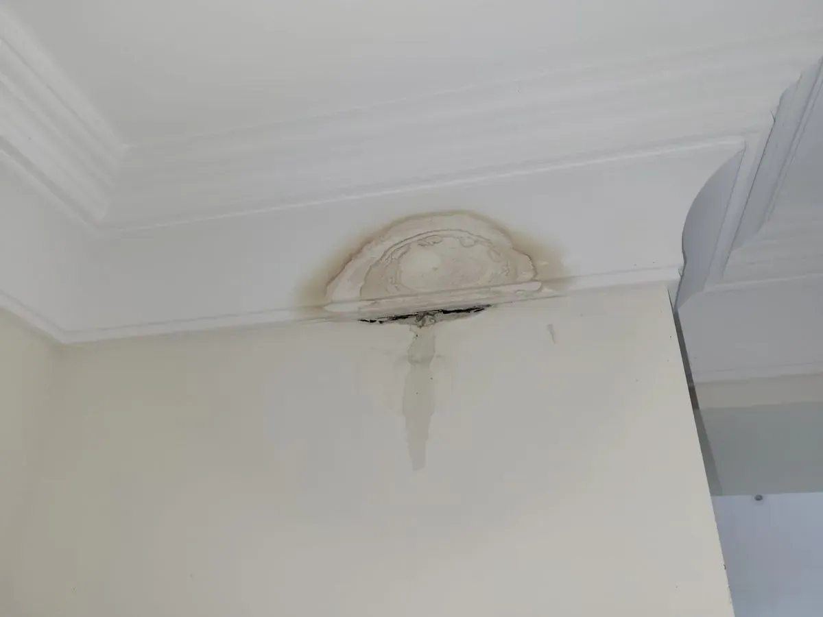 Water Leak Surveys image background image