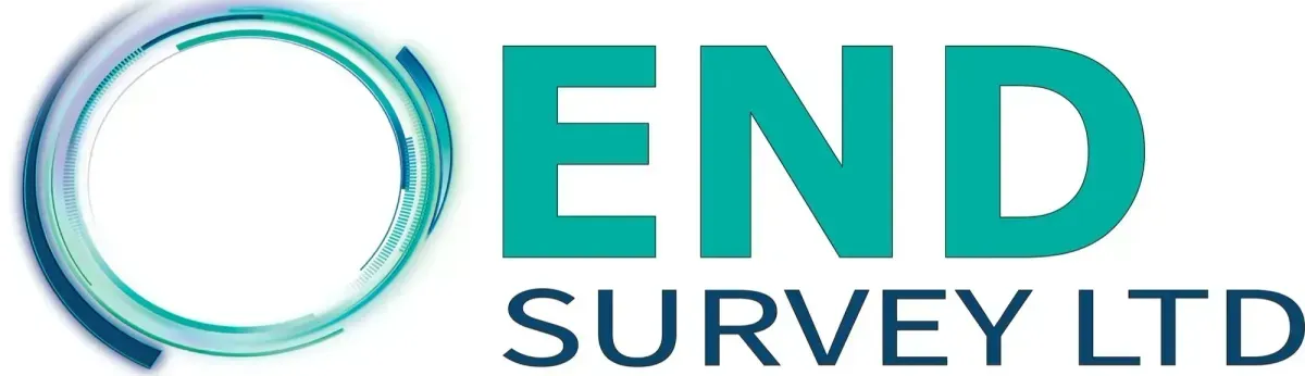 End Survey Ltd logo