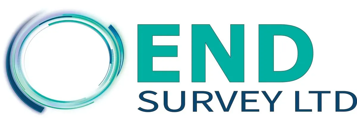 End Survey Ltd logo