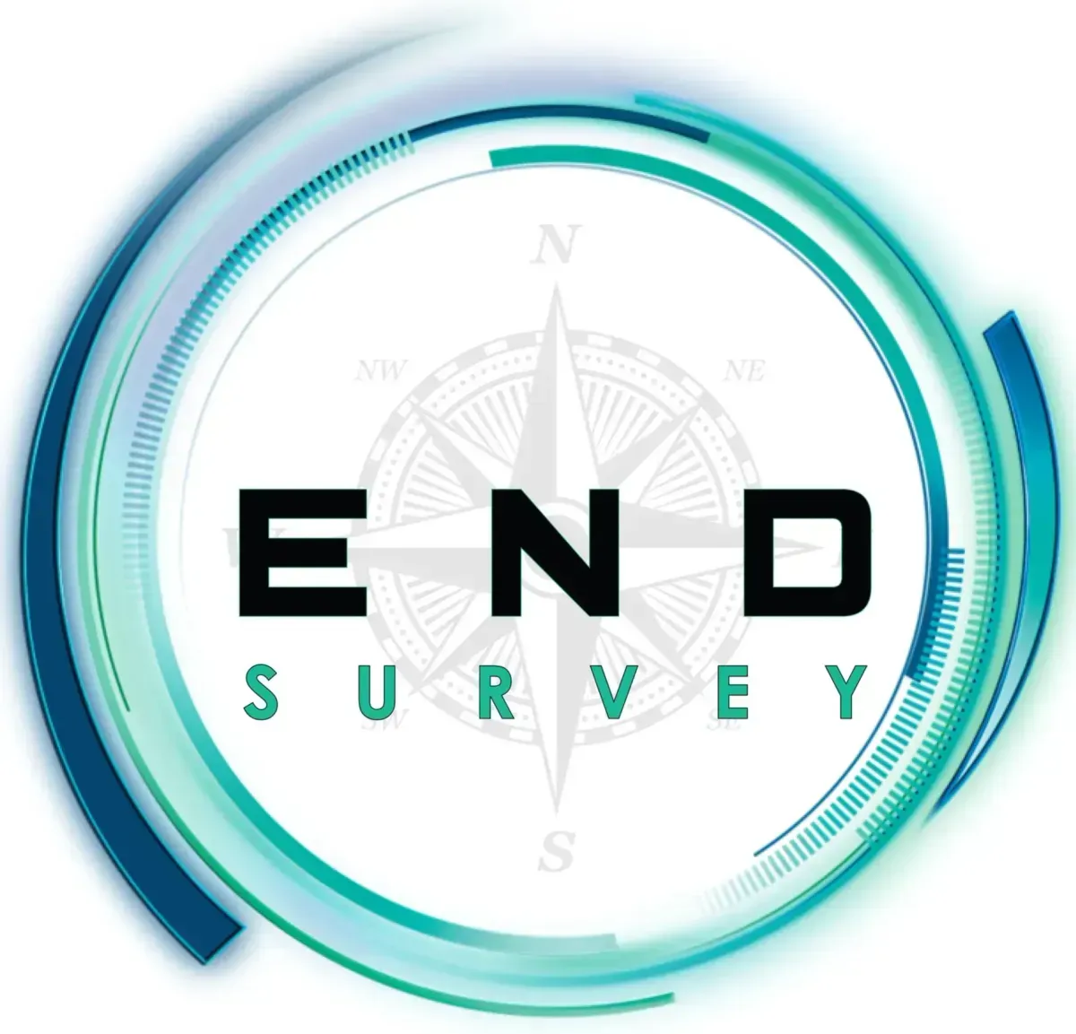 End Survey Ltd logo