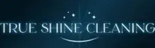 True shine cleaning Southampton  logo