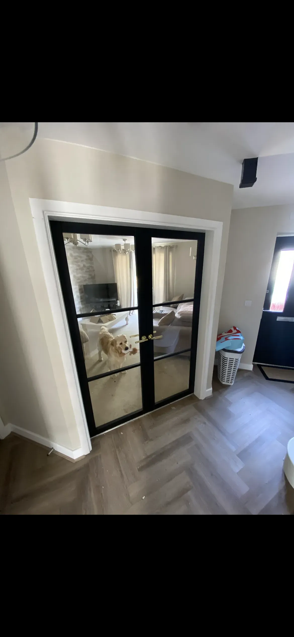 Gallery image 9