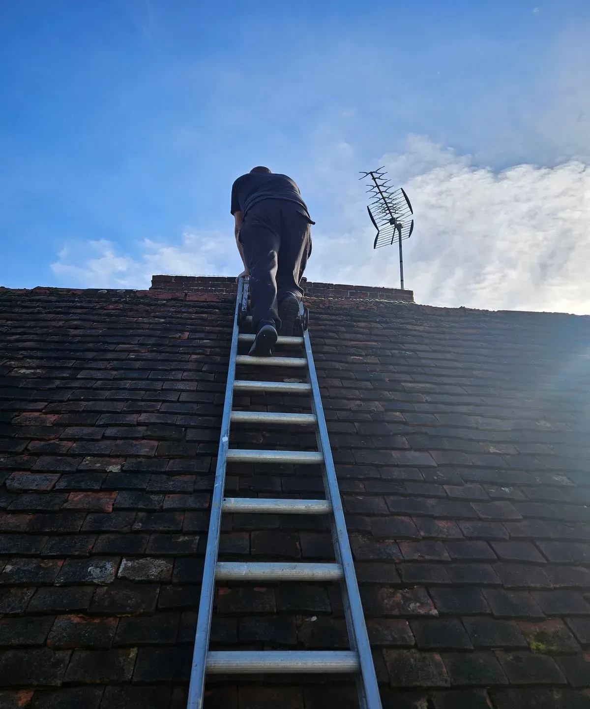 Roofers