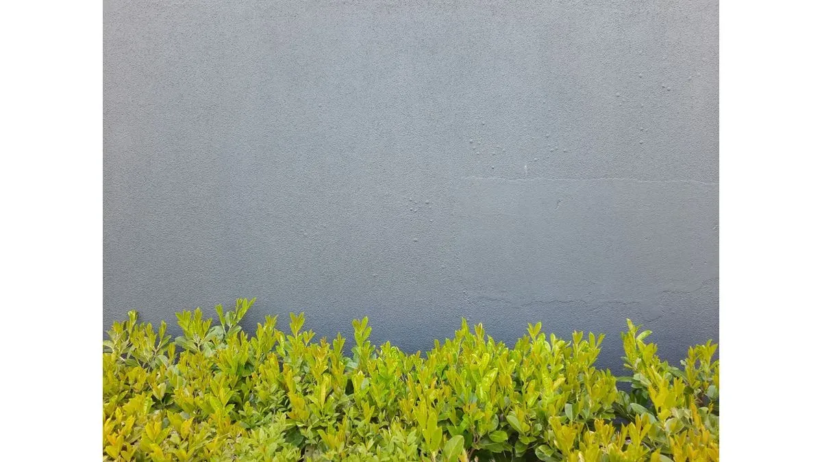 Garden Wall Builder in Bolton