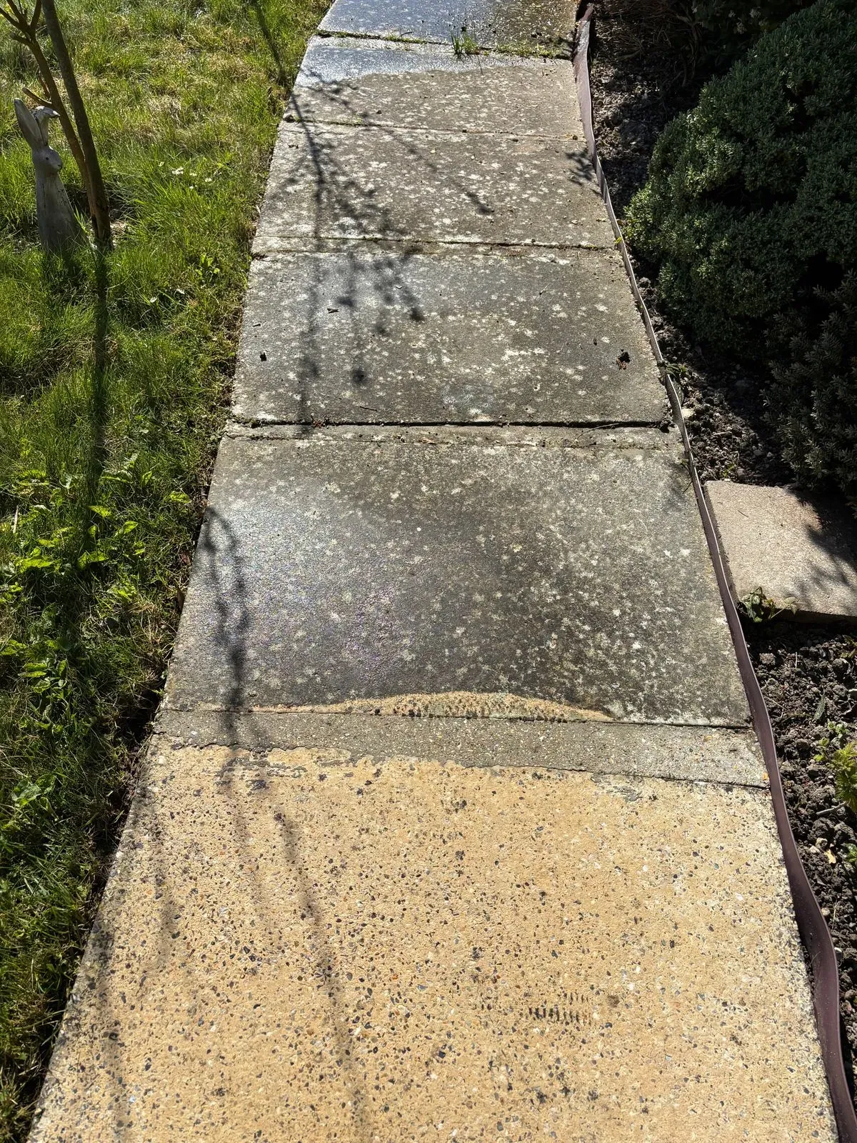 Gallery image 10