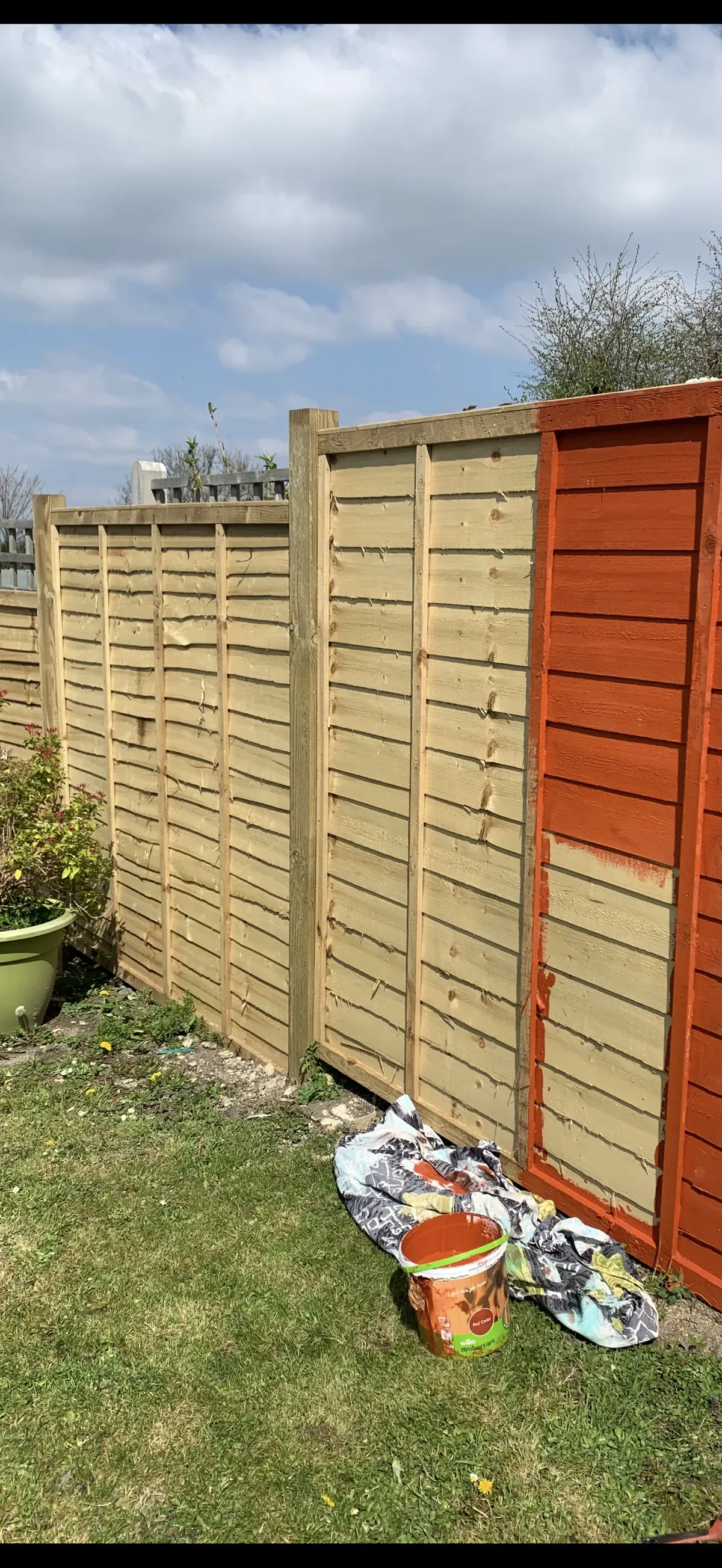 Fence and Deck Repairs