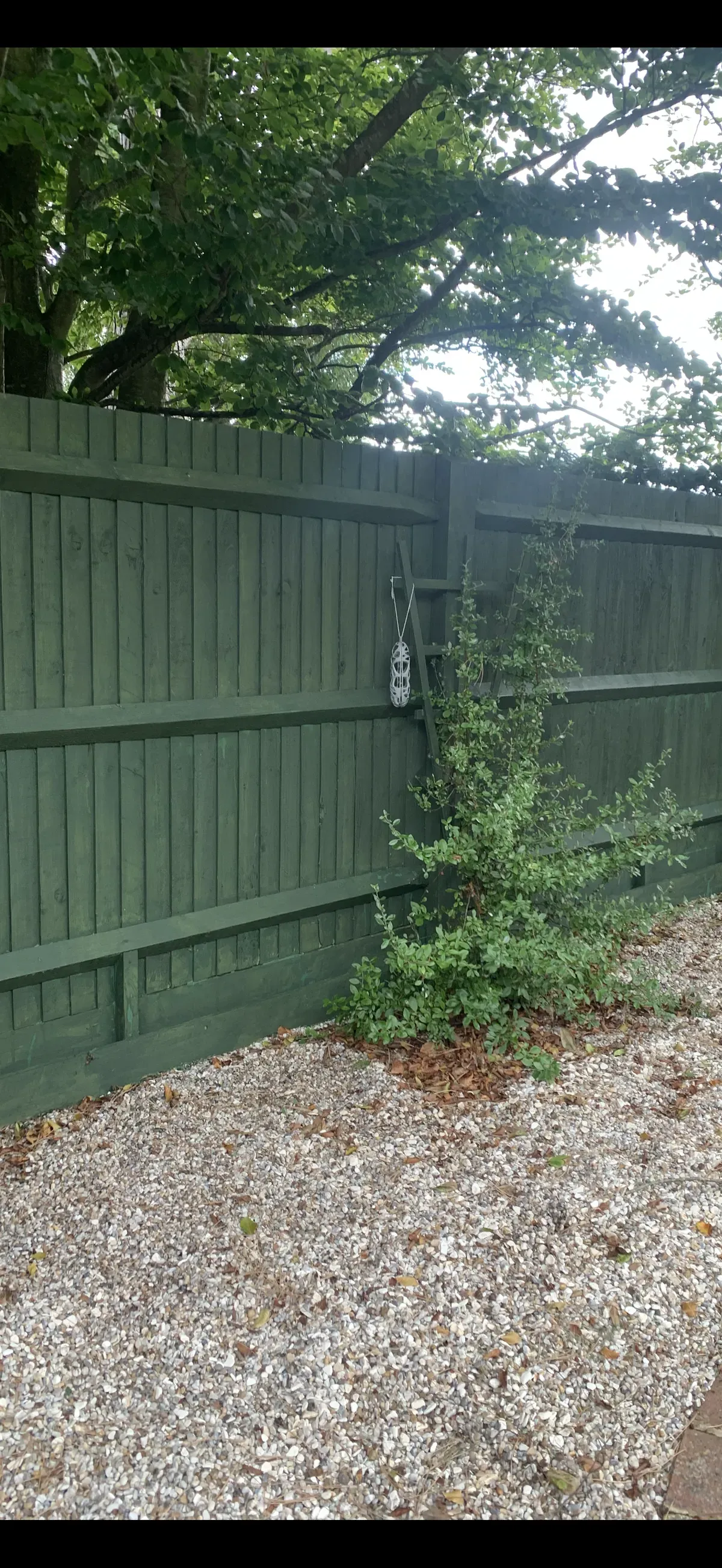 Gallery image 14