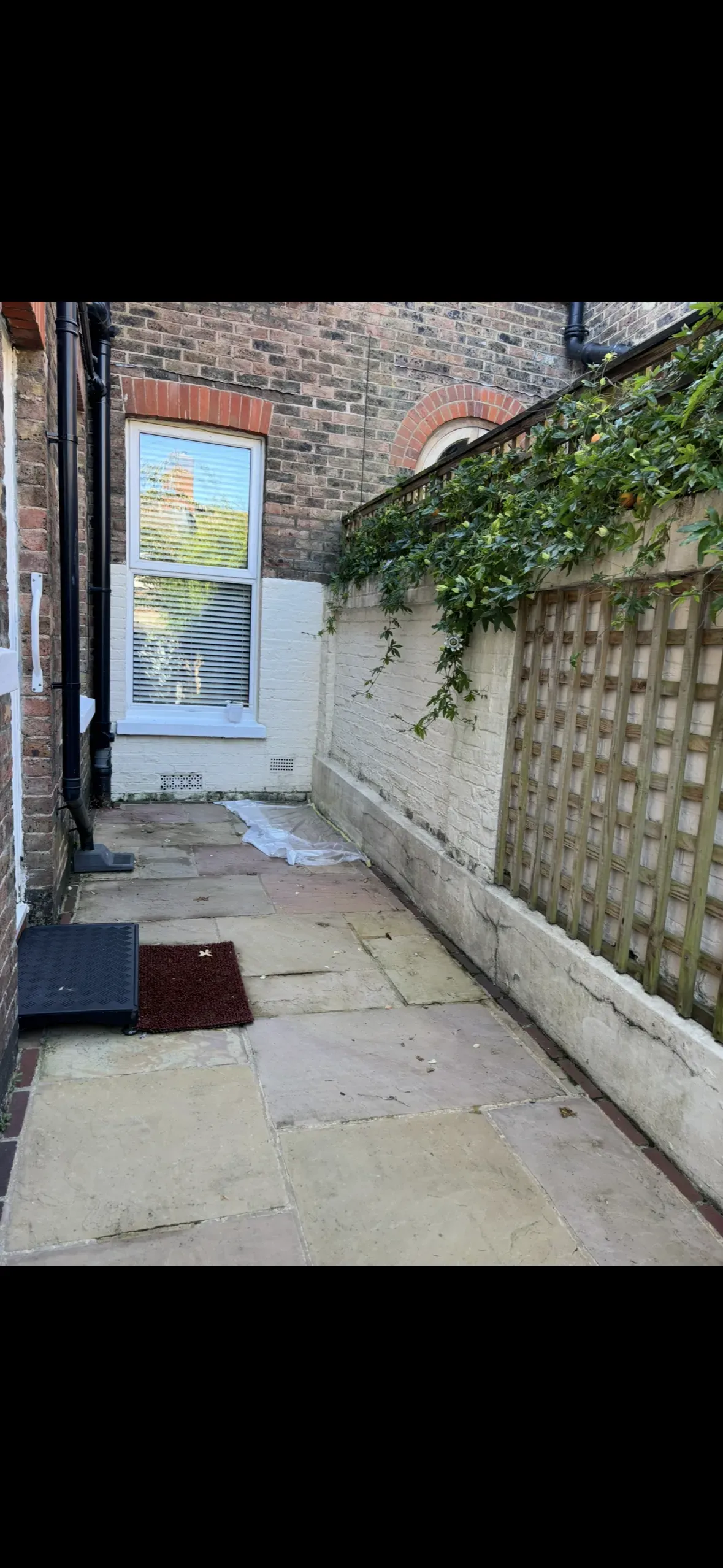 Gallery image 20