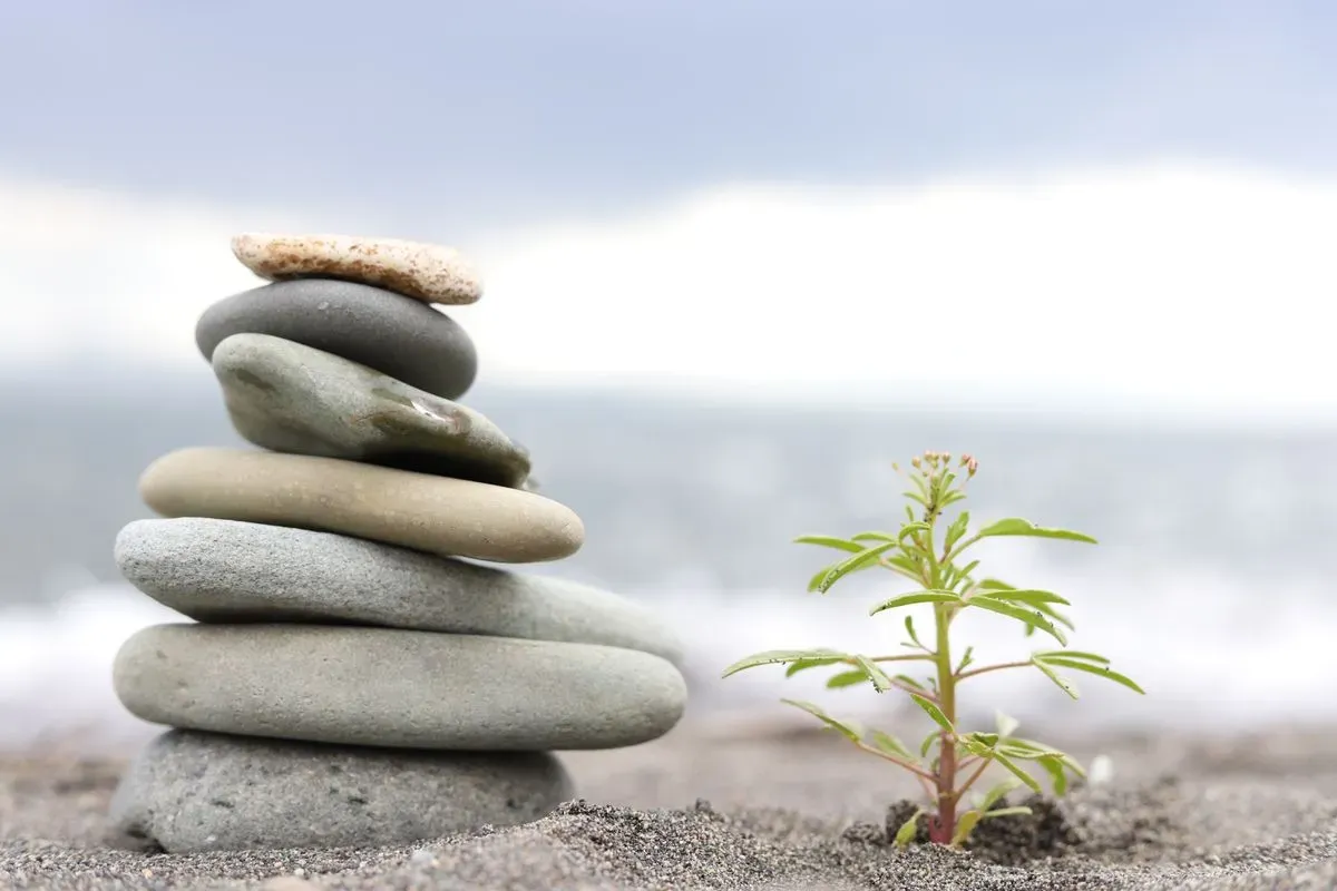 Descriptive text for the image