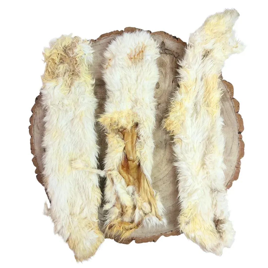 IMG-1133 collection background image