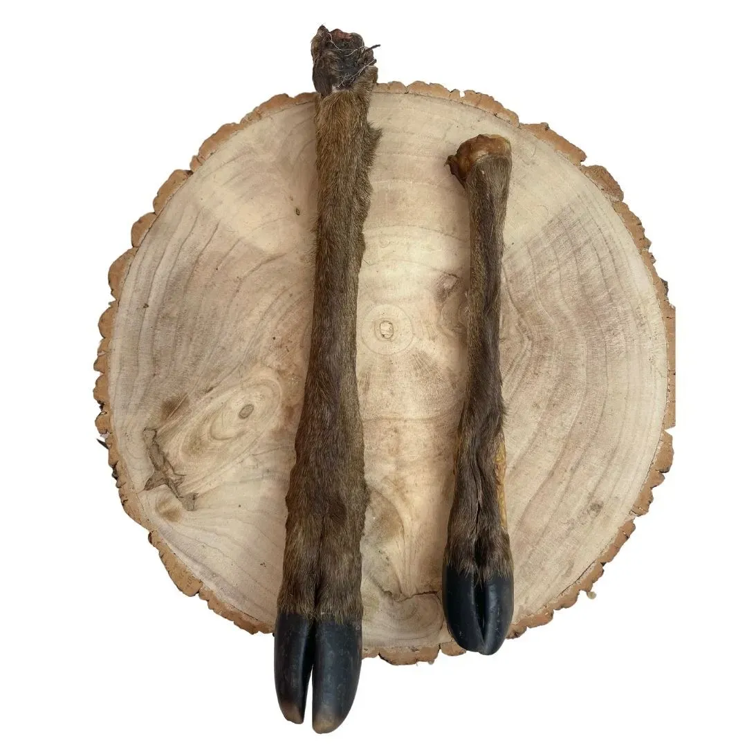 IMG-1150 collection background image
