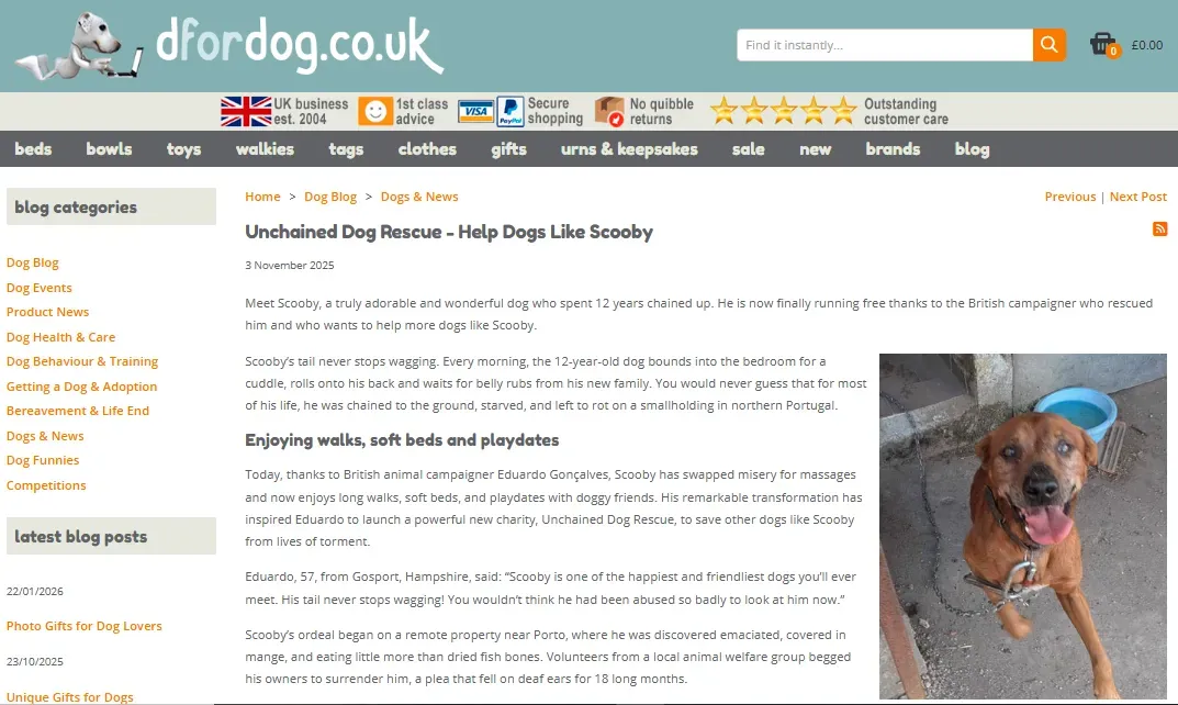 undefined background image