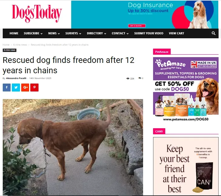 undefined background image