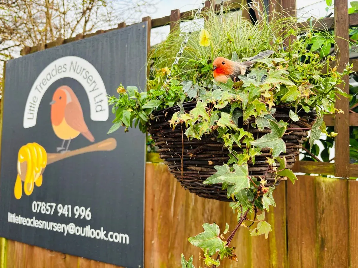 Descriptive text for the image