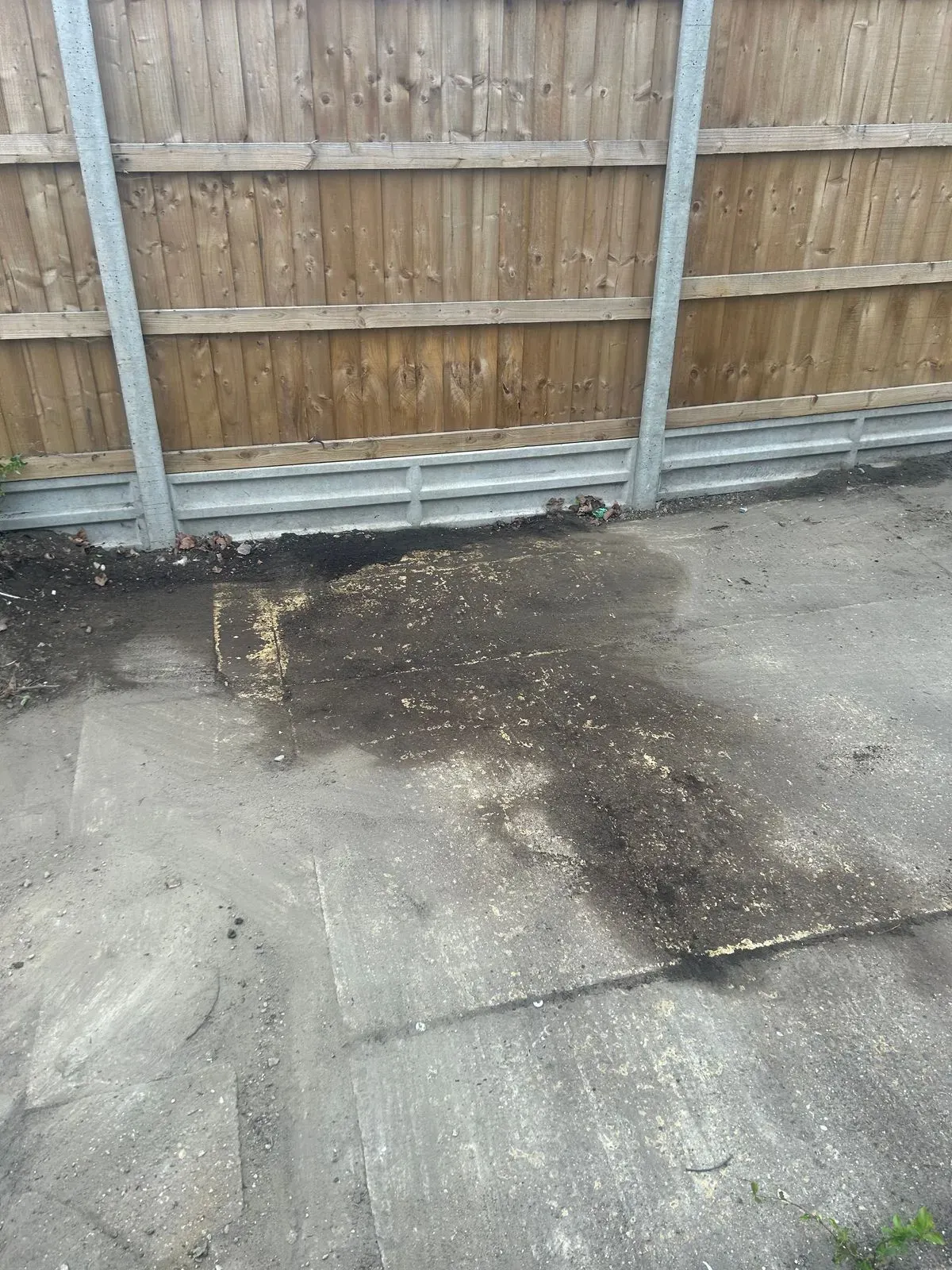 Descriptive text for the image