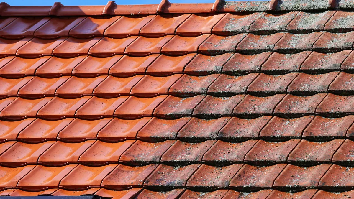 Descriptive text for the image