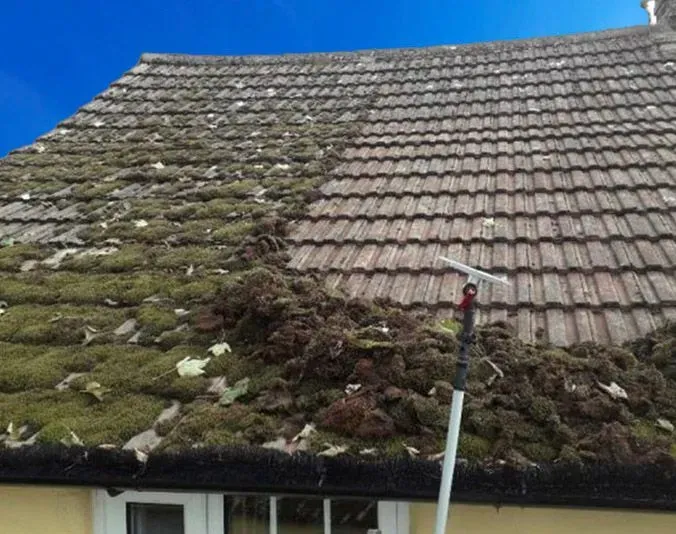 Descriptive text for the image