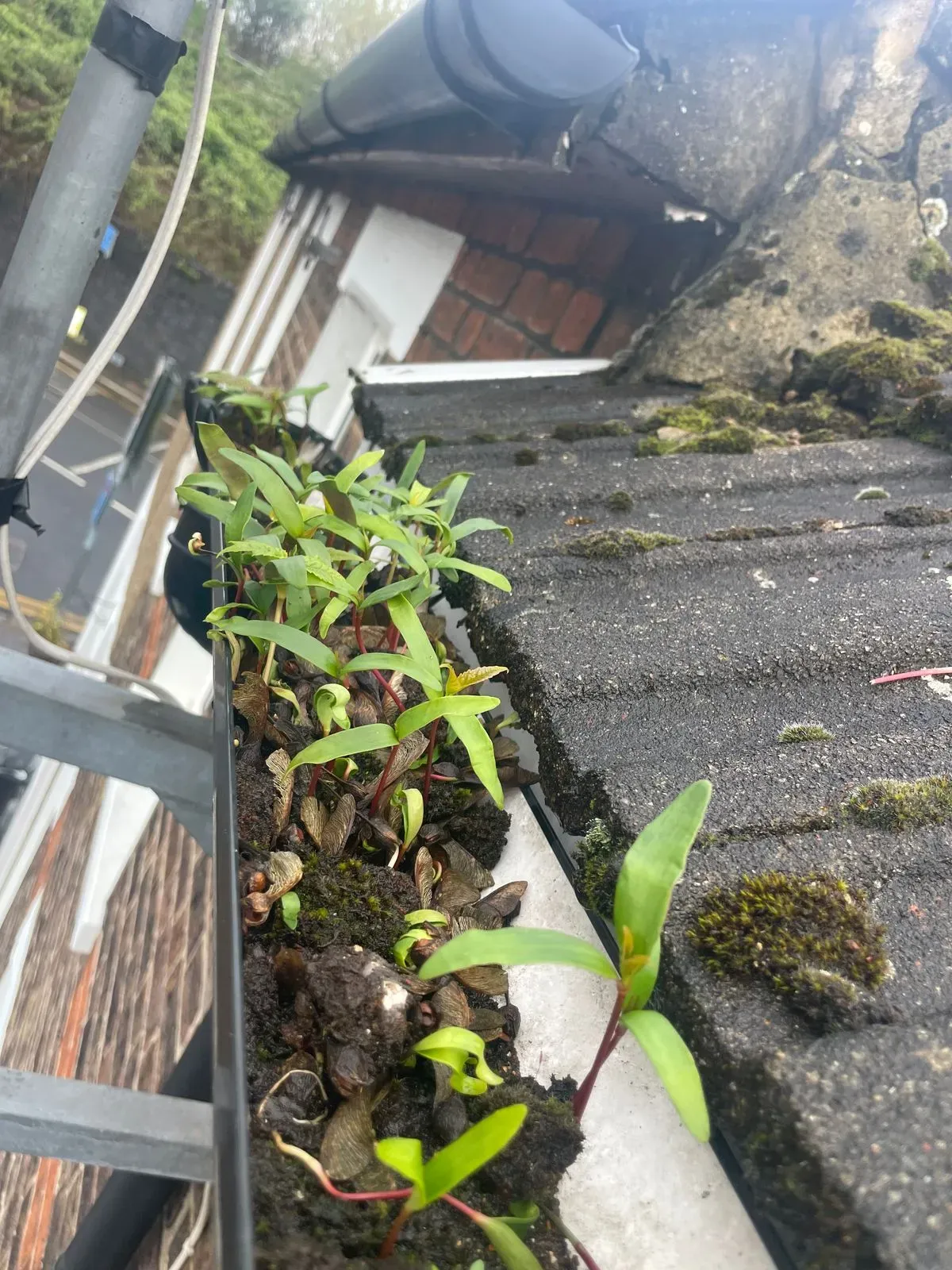 Gutter cleaning in Watford