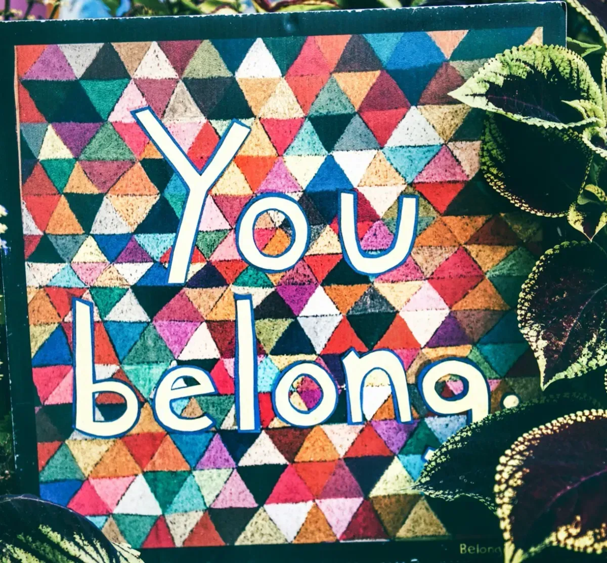 8213540478834-kog7oy6zazhhgj368qd25c-a-sign-that-says-you-belong-surrounded-by-plants-ZFXZ-xMYTZs-cropped collection background image